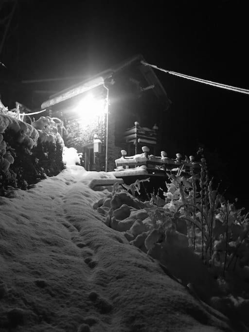 Chalet Les 3 Flocons Roure Kültér fotó